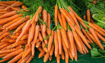 VNR Fresh Vnr Red Carrot Vegetable Hybrid Seed(100 per packet)