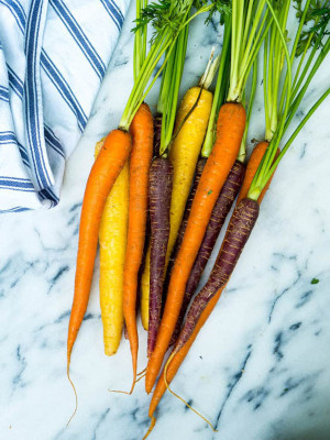 VNR Fresh Vnr Red Carrot Vegetable Hybrid Seed(100 per packet)