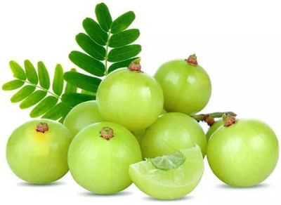 Aro Gooseberry, Amla Seed(82 per packet)