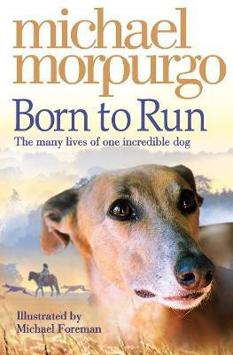 Born to Run(English, Paperback, Morpurgo Michael)