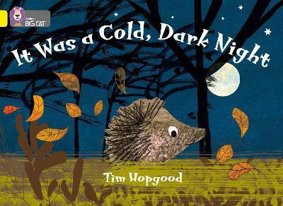 It Was a Cold Dark Night(English, Paperback, Hopgood Tim)