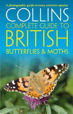 British Butterflies and Moths(English, Paperback, Sterry Paul)