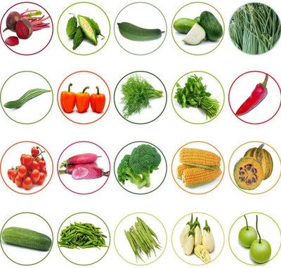 AloGardening Hybrid Vegetable Seeds Combo 1 - Set of 10 Seed(10 g)