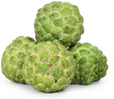 Chalisa CustardApple Seed(40 per packet)
