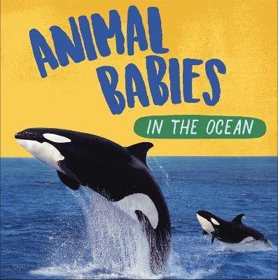 Animal Babies: In the Ocean(English, Paperback, Ridley Sarah)