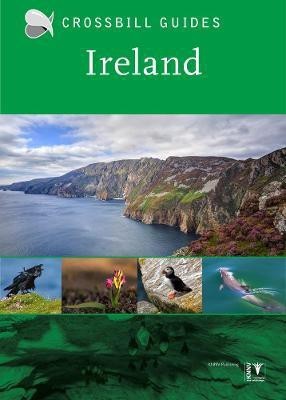 Ireland(English, Paperback, Krieger Carsten)