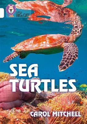 Sea Turtles(English, Paperback, Mitchell Carol)