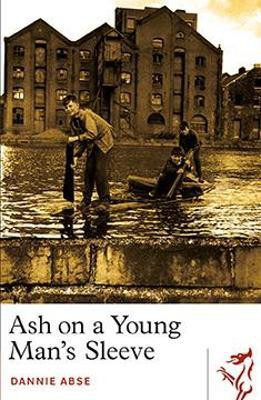 Ash on a Young Man's Sleeve(English, Paperback, Abse Dannie)