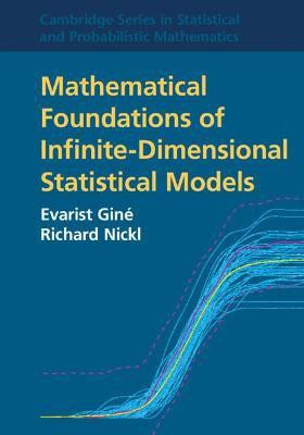 Mathematical Foundations of Infinite-Dimensional Statistical Models(English, Paperback, Gine Evarist)