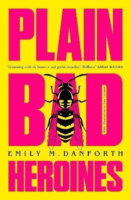 Plain Bad Heroines(English, Hardcover, Danforth Emily M.)