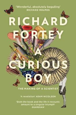 A Curious Boy(English, Paperback, Fortey Richard)