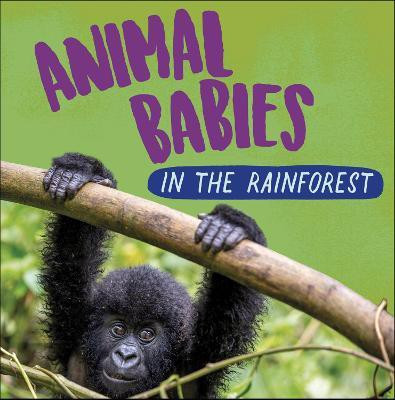 Animal Babies: In the Rainforest(English, Paperback, Ridley Sarah)