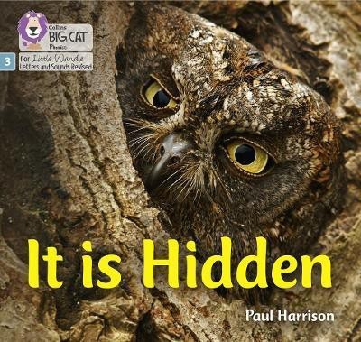 It is Hidden(English, Paperback, Harrison Paul)