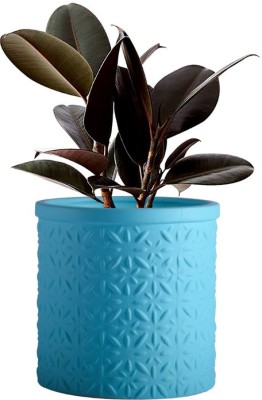 Lasaki Gloria Flower Ceramic Planter Pots for Plants Indoor Living Room (color: Aqua) Plant Container Set(Ceramic)