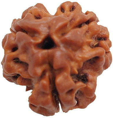 RamG 3 Face/ 3 Mukhi Nepali Rudraksh Small Heavy-2 Fine Wood Locket