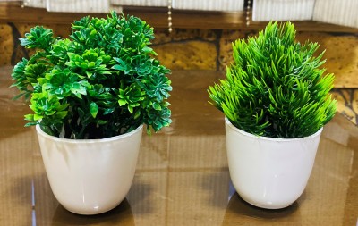 Ryme Pack Of 2 Artificial Plants With Pot/Vase For Home And Office Decoration Bonsai Wild Artificial Plant  with Pot(12 cm, Green, White)