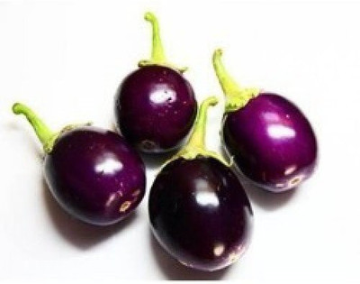 Gromax India Brinjal Chu Chu Seeds Seed(40 per packet)