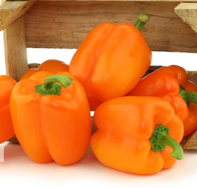 Gromax India Vegetable Capsicum Orange Seeds For Home Garden Seed(40 per packet)