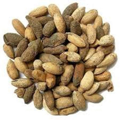 Xetomos Neem Seeds 100g seeds Seed(1 per packet)