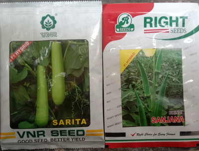 VNR f1 hybrid Seed(200 per packet)