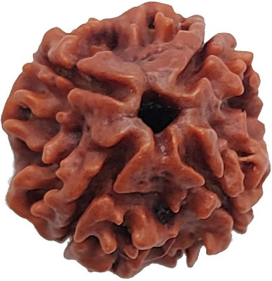 RamG 4 Face/ 4 Mukhi Nepali Rudraksh Medium Heavy-3 Wood Locket