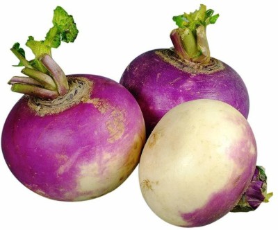 Gromax India Turnip Purple Top Seeds Seed(40 per packet)