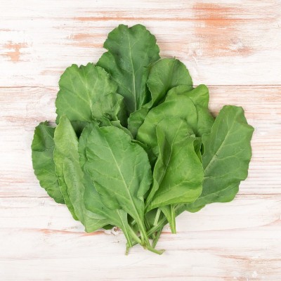 Greenry palak(spinach) fresh seeds Seed(1 per packet)