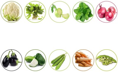 TrustBasket Vegetable, Herbs Seed(20 per packet)