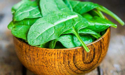 Cosmos Fresh Green Spinach (Palak) Vegetable Hybrid Quality Seed(100 per packet)