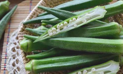 Organic Galaxy Upl Okra Lady-Finger (Bhindi) Hybrid Vegetable Seed(100 per packet)