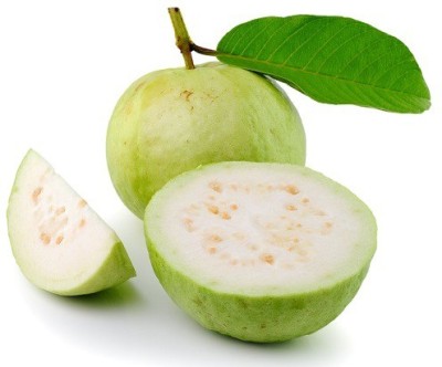 GOROOT Guava, Amrood, Amrud, Psidium, Guajava Seed(100 per packet)