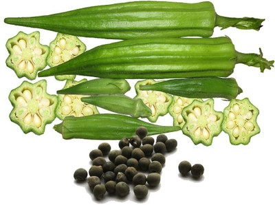 VibeX ® XLR-162 F1 Okra/LadyFinger seeds Seed(100 per packet)