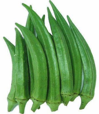 CYBEXIS TLX-58 - BHINDI OKRA SUJATA - (1350 Seeds) Seed(1350 per packet)