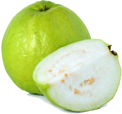 GOROOT Guava, Amrood, Amrud, Psidium, Guajava Seed(20 per packet)
