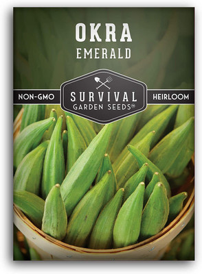 MKR Enterprises Red Okra Seed(320 per packet)