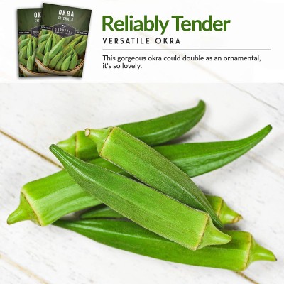 MKR Enterprises Red Okra Seed(230 per packet)