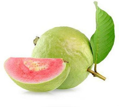 GOROOT Guava, Amrood, Amrud, Psidium, Guajava Seed(20 per packet)