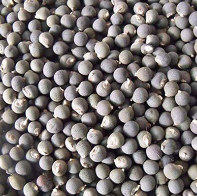 VibeX ® XLR-477 Okra Clemson Spineless Seed(100 per packet)