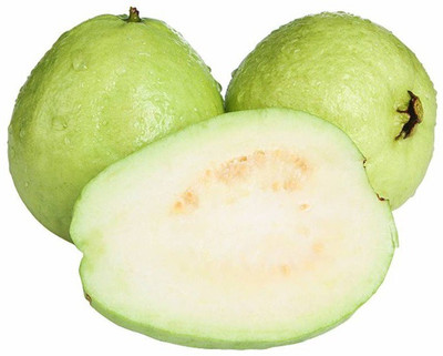 GOROOT Guava, Amrood, Amrud, Psidium, Guajava Seed(20 per packet)