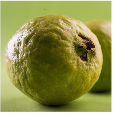 GOROOT Guava, Amrood, Amrud, Psidium, Guajava Seed(20 per packet)