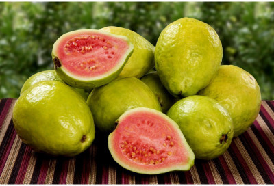 GOROOT Guava, Amrood, Amrud, Psidium, Guajava Seed(20 per packet)