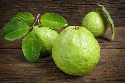 GOROOT Guava, Amrood, Amrud, Psidium, Guajava Seed(30 per packet)