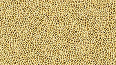 Xetomos Mustard 100gm seeds Seed(1 per packet)