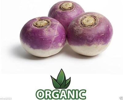 MKR Enterprises Turnip Seed(250 per packet)