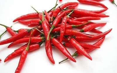 CYBEXIS LXI-56 - Cayenne Pepper Chilli - (1350 Seeds) Seed(1350 per packet)