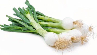 Gromax India SPRING ONION SEEDS Seed(40 per packet)
