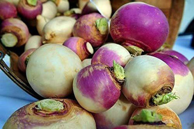 MKR Enterprises Turnip Seed(850 per packet)