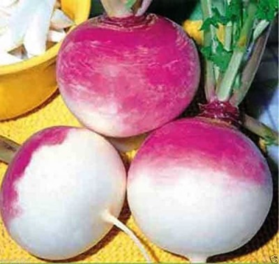 MKR Enterprises Turnip Seed(350 per packet)