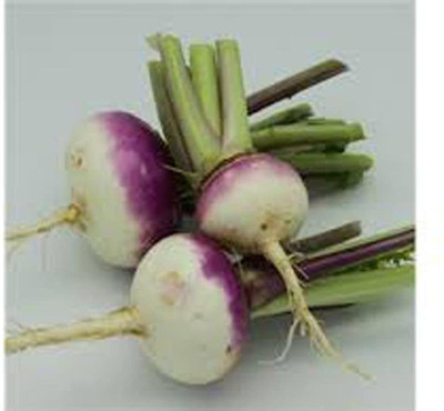 MKR Enterprises Turnip Seed(950 per packet)