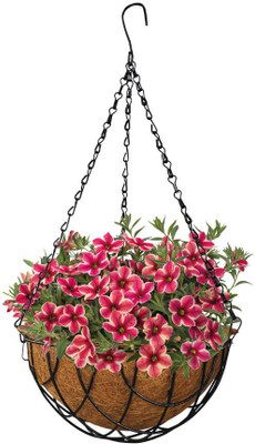 TrustBasket Coir Hanging Basket (Set of 2) Plant Container Set(Pack of 2, Metal)